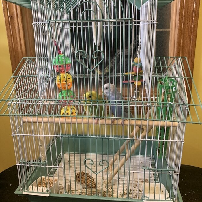 Higbee 22'' Plastic Pointed Top Hanging Bird Cage with Perch