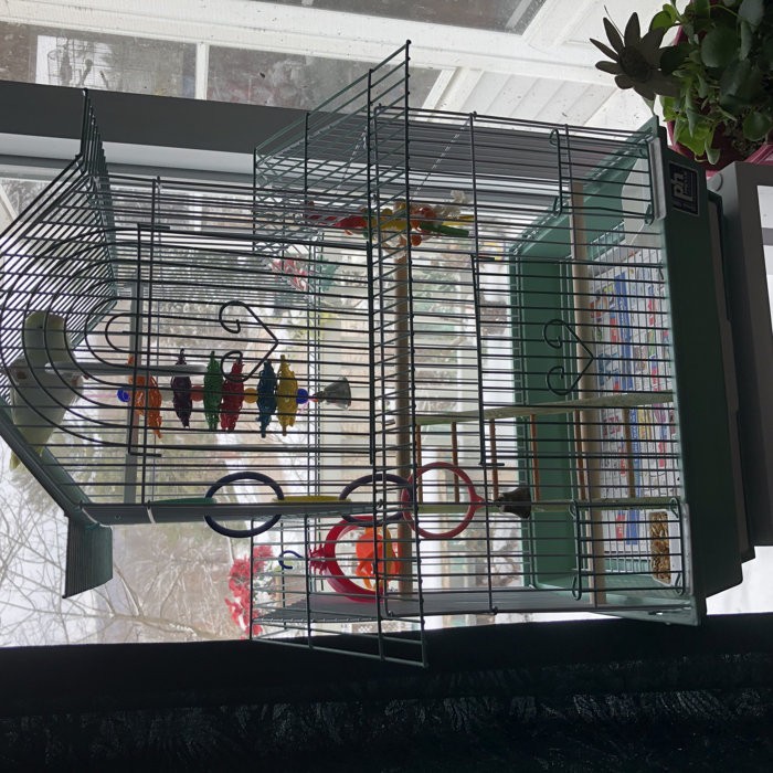 Higbee 22'' Plastic Pointed Top Hanging Bird Cage with Perch