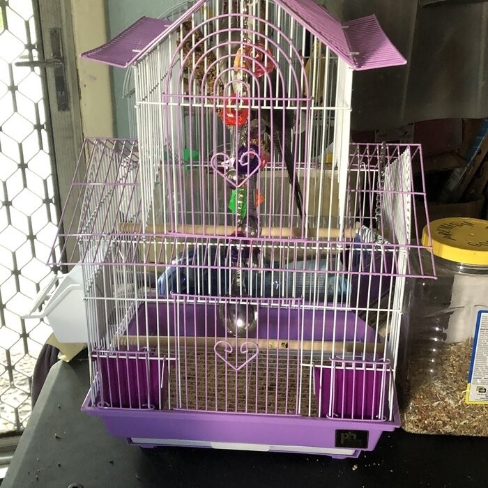 Higbee 22'' Plastic Pointed Top Hanging Bird Cage with Perch