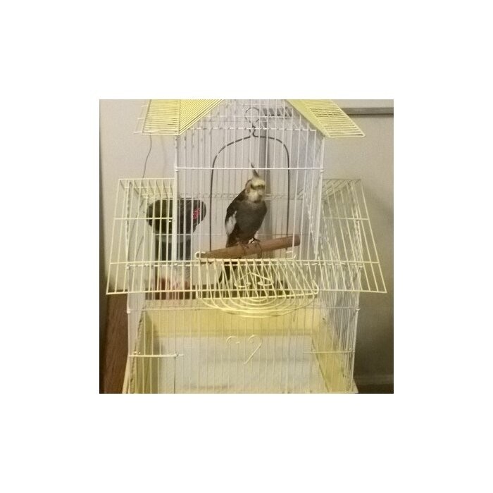 Higbee 22'' Plastic Pointed Top Hanging Bird Cage with Perch