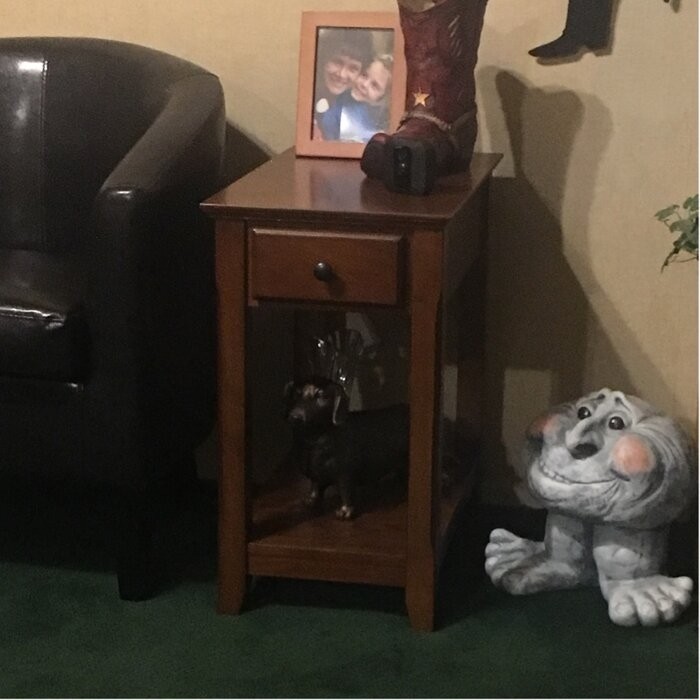 Hillyard 23'' Tall End Table with Storage