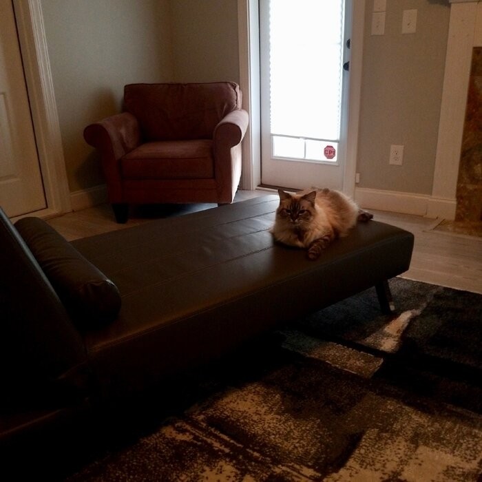 Ippolito Chaise Lounge