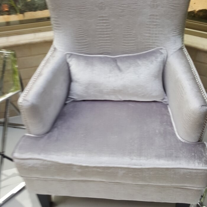 Jacinto 31'' Wide Velvet Wingback Chair