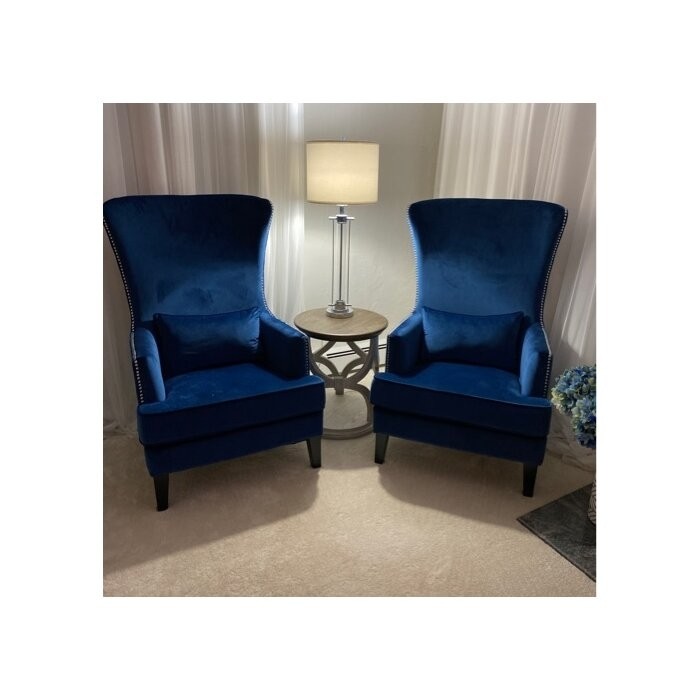Jacinto 31'' Wide Velvet Wingback Chair