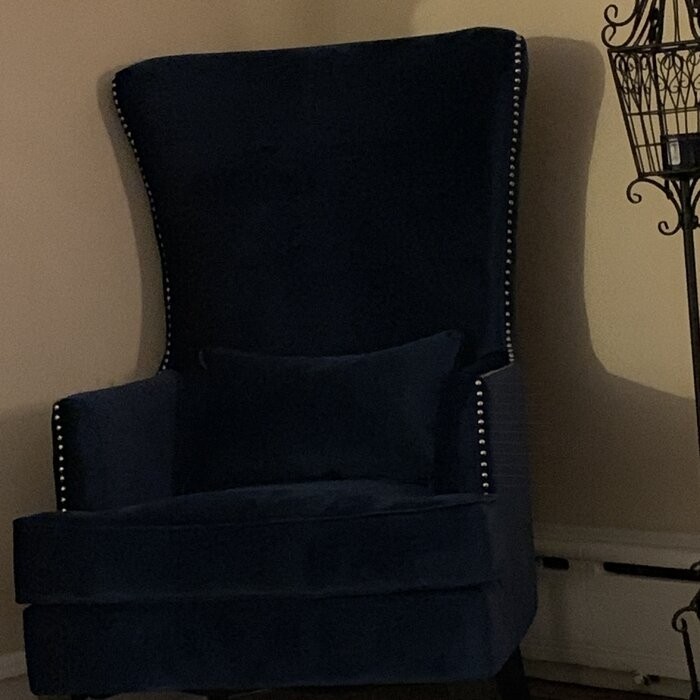 Jacinto 31'' Wide Velvet Wingback Chair