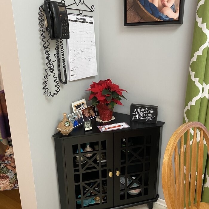 Jason 30'' Tall 2 - Door Corner Accent Cabinet
