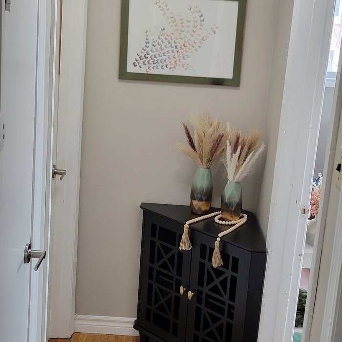 Jason 30'' Tall 2 - Door Corner Accent Cabinet
