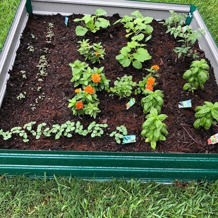 Kadyn 4 ft x 4 ft Galvanized Steel Raised Garden Bed