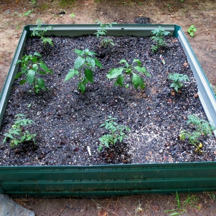 Kadyn 4 ft x 4 ft Galvanized Steel Raised Garden Bed