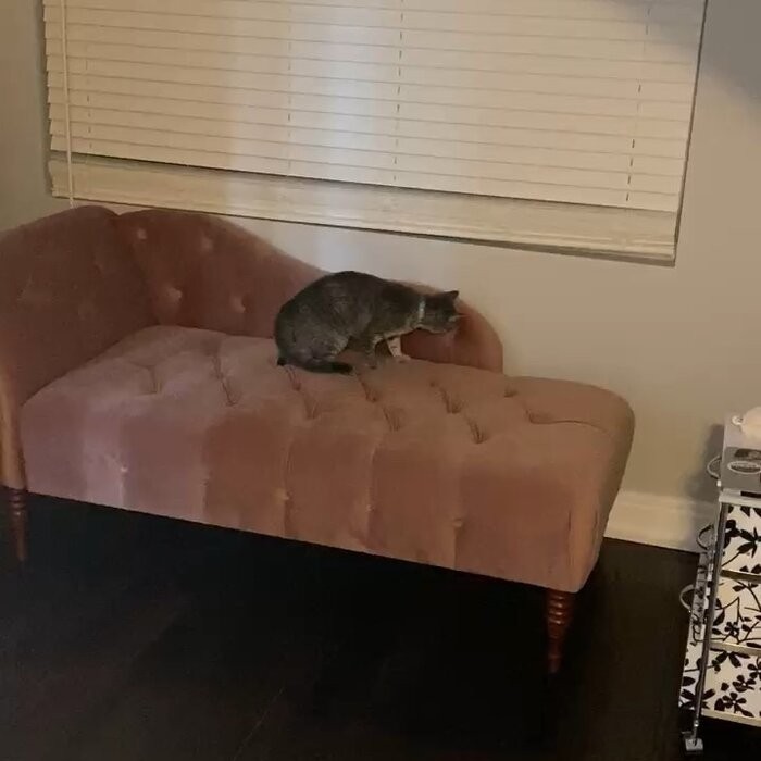 Kannon Tufted Right-Arm Chaise Lounge