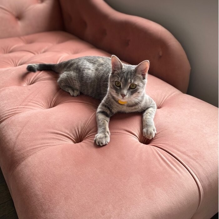 Kannon Tufted Right-Arm Chaise Lounge