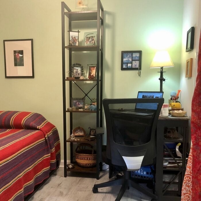 Keemon 15.7'' W Steel Etagere Bookcase