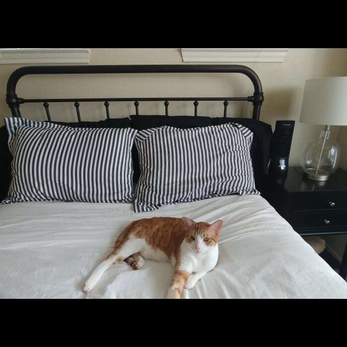Kowalczyk Metal Slat Headboard