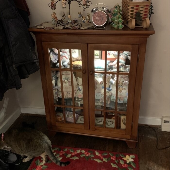 Kyles 38'' Wide Solid Wood Curio Cabinet with Lighting
