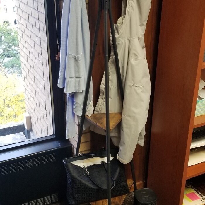 Lakwanzaa 19.3'' Wide Freestanding Coat Rack with Storage
