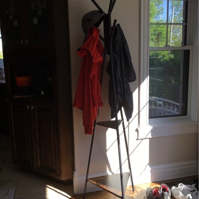 Lakwanzaa 19.3'' Wide Freestanding Coat Rack with Storage