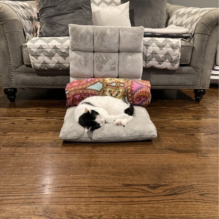 Large Bean Bag Chair & Lounger