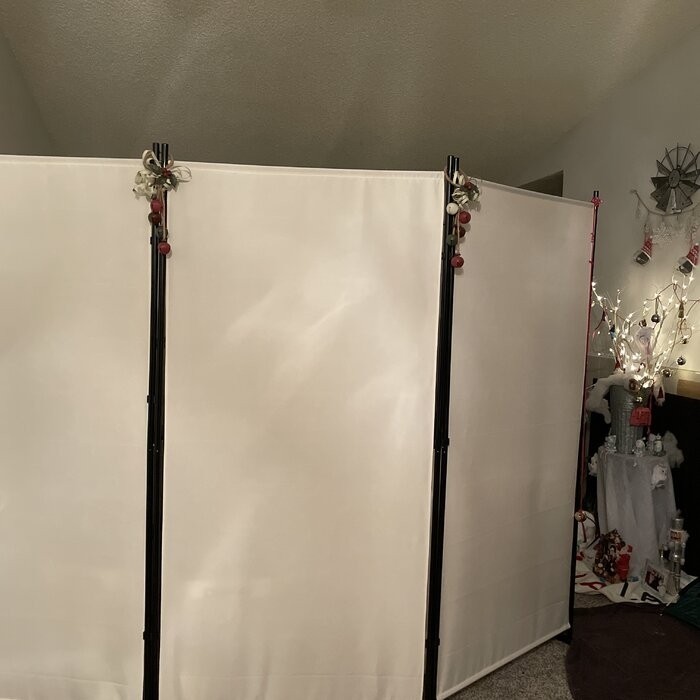 Leveille 102.5'' W x 72'' H 3 - Panel Folding Room Divider
