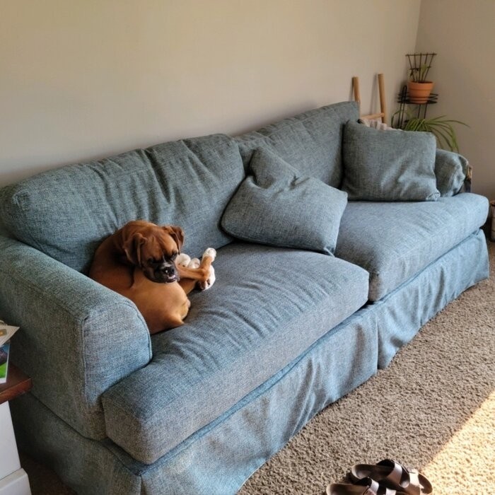 Lucia 93'' Recessed Arm Slipcovered Sofa with Reversible Cushions