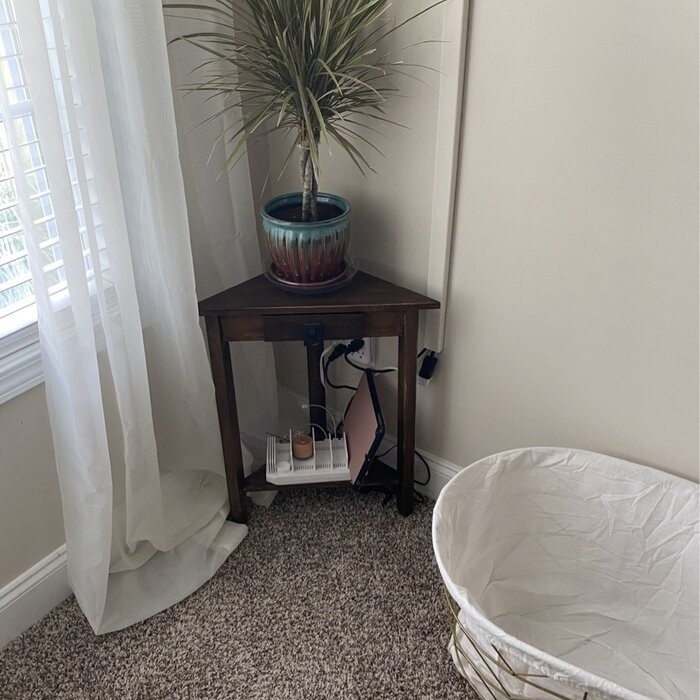 Lynn 24'' Tall Solid Wood 3 Legs End Table with Storage