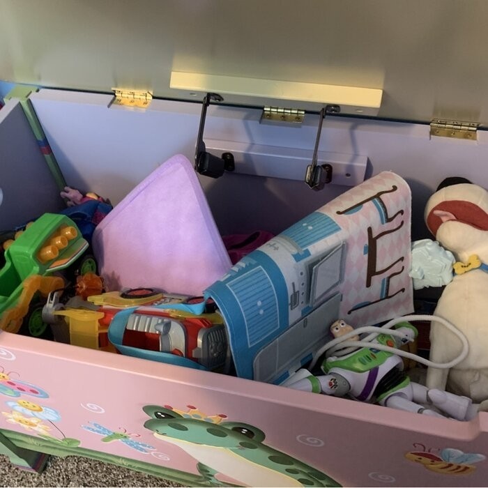 Magic Garden Toy Box