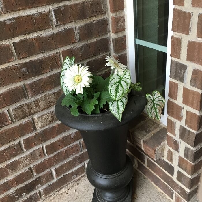 Magnesium Oxide Urn Planter