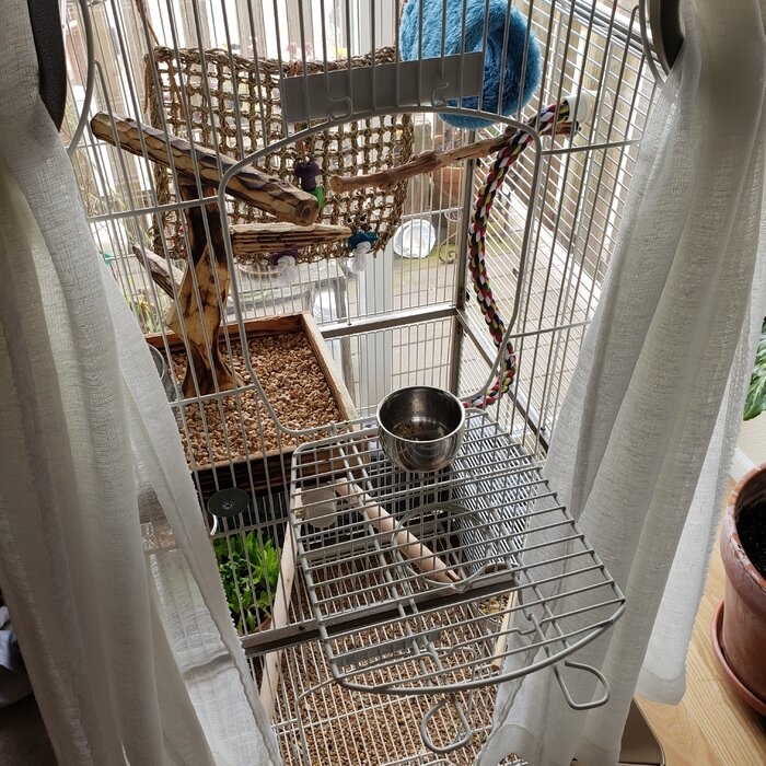 Maisie 58.5'' Victorian Top Floor Bird Cage with Wheels