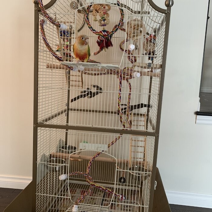 Maisie 58.5'' Victorian Top Floor Bird Cage with Wheels