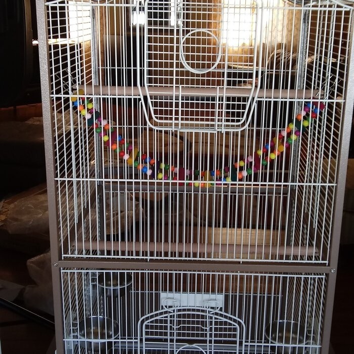 Maisie 58.5'' Victorian Top Floor Bird Cage with Wheels