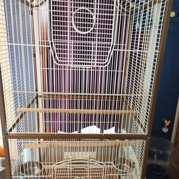 Maisie 58.5'' Victorian Top Floor Bird Cage with Wheels