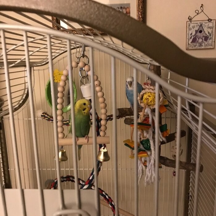 Maisie 58.5'' Victorian Top Floor Bird Cage with Wheels
