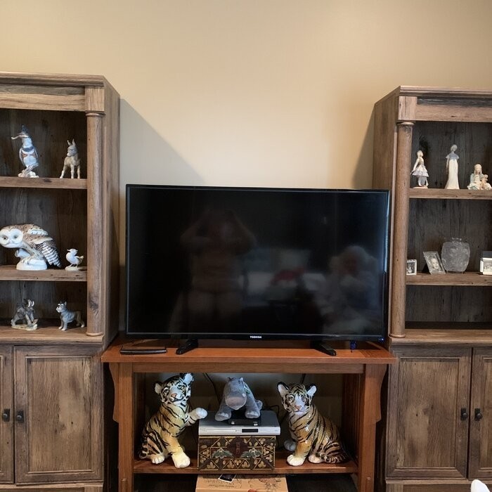 Manahan 71.88'' H x 29.38'' W Standard Bookcase