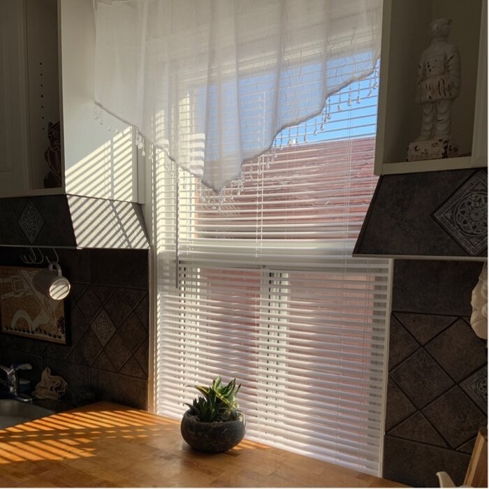 Mardis Solid Color Pointed 51'' Window Valance
