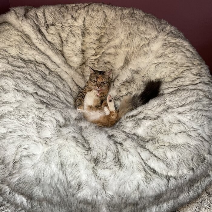 Margot Short Large Faux Fur Classic Bean Bag