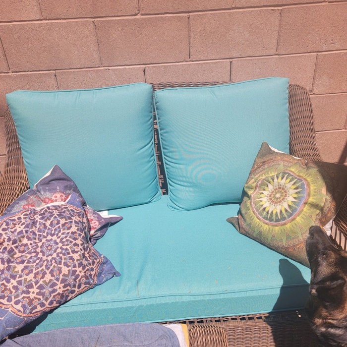 Mccay Latitude Run® 1 - Piece Outdoor Seat/Back Cushion