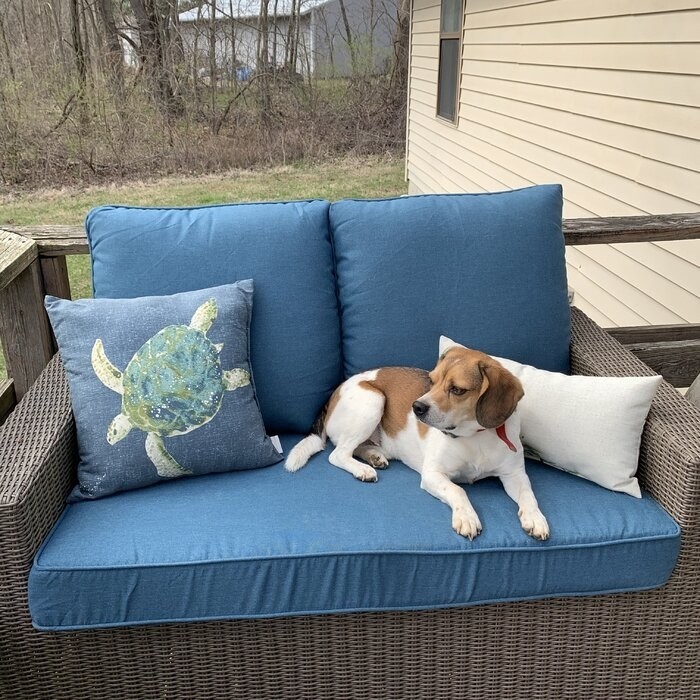 Mccay Latitude Run® 1 - Piece Outdoor Seat/Back Cushion