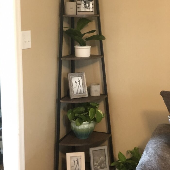 Mel 72'' H x 17'' W Iron Corner Bookcase