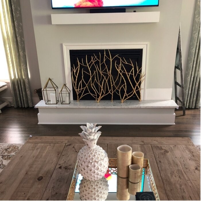 Memoire Single Panel Iron Fireplace Screen