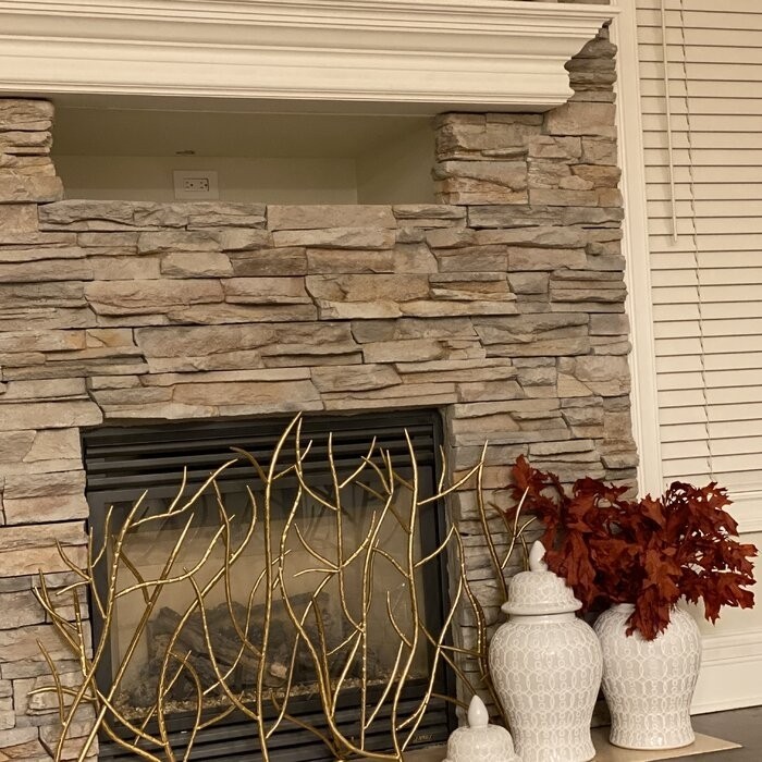 Memoire Single Panel Iron Fireplace Screen