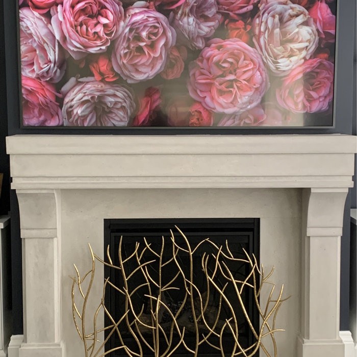 Memoire Single Panel Iron Fireplace Screen