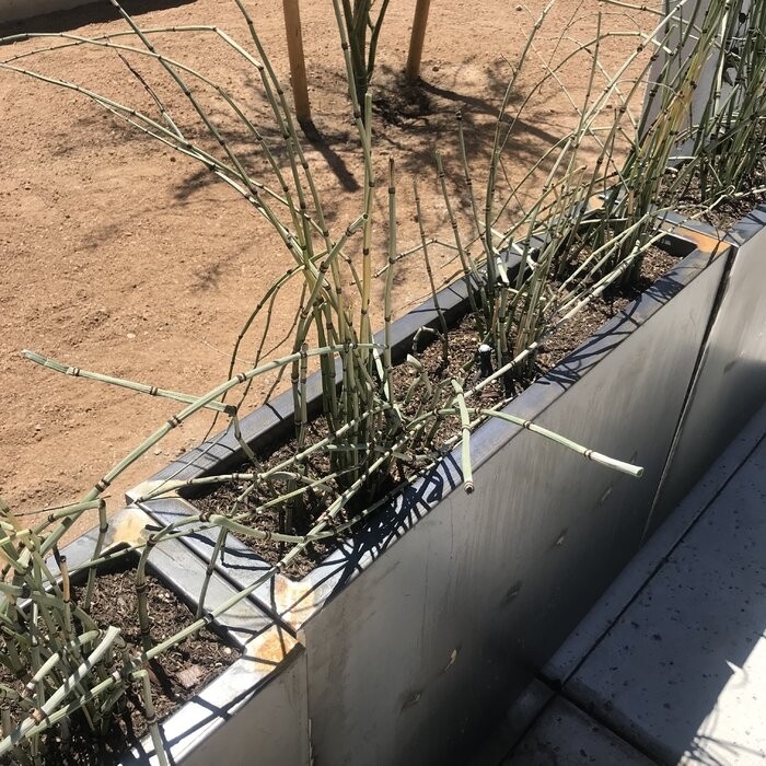 Metallic Series 1 - Piece Weathered Steel Planter Box