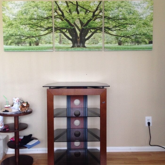 Modern & Contemporary Wood Audio Rack