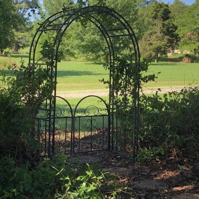 Montebello Iron Arbor with Gate