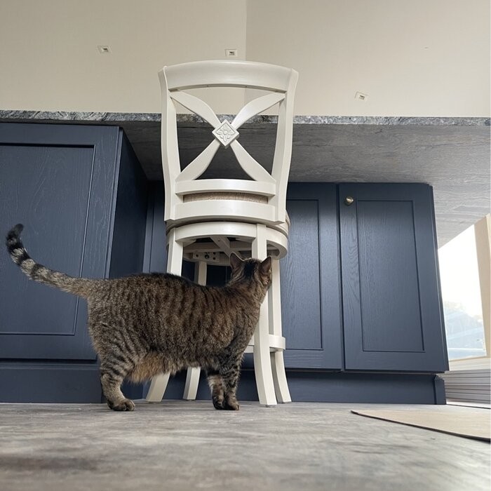 Nasturtium Swivel 26" Counter Stool
