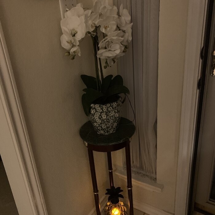 Noack Round Pedestal Marble Plant Stand