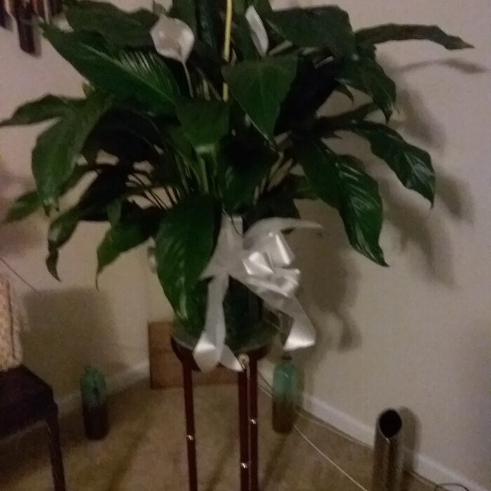 Noack Round Pedestal Marble Plant Stand