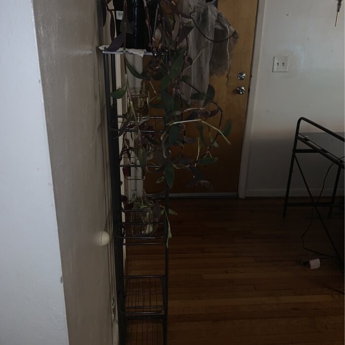 Norco Rectangular Plant Stand