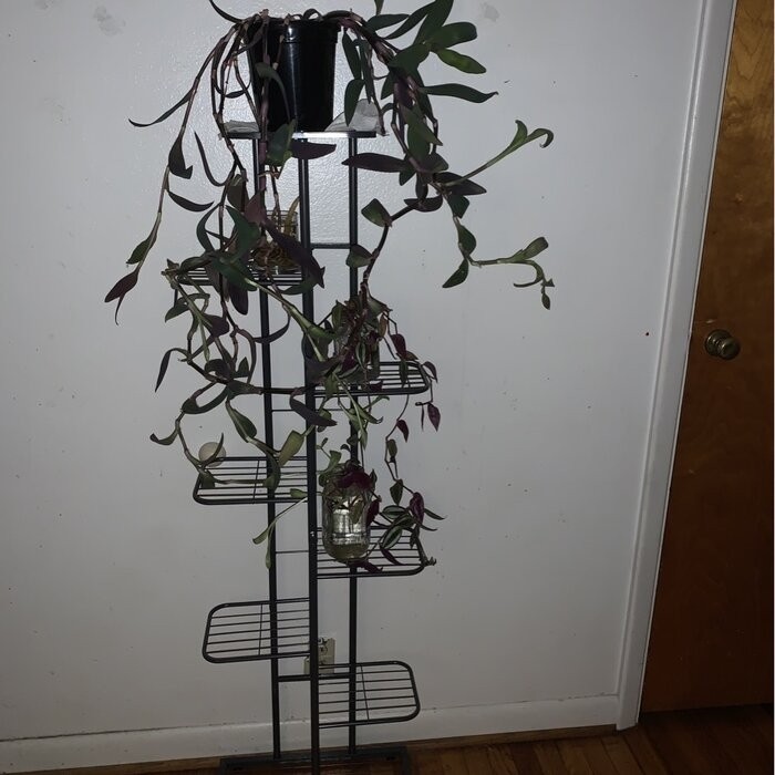 Norco Rectangular Plant Stand