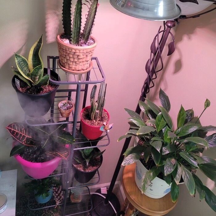 Norco Rectangular Plant Stand