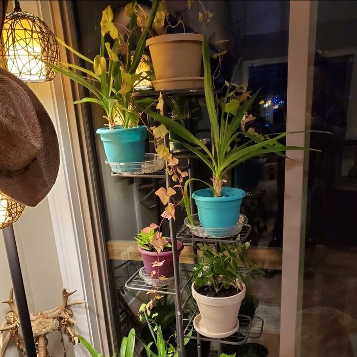 Norco Rectangular Plant Stand